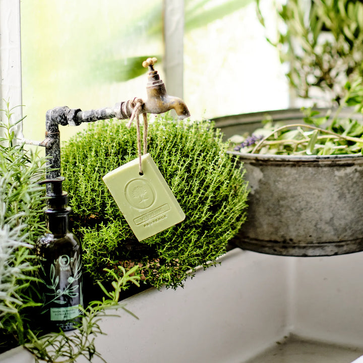 Fransk sæbe på snor med olivenolie og verbena, Oliviers & Co