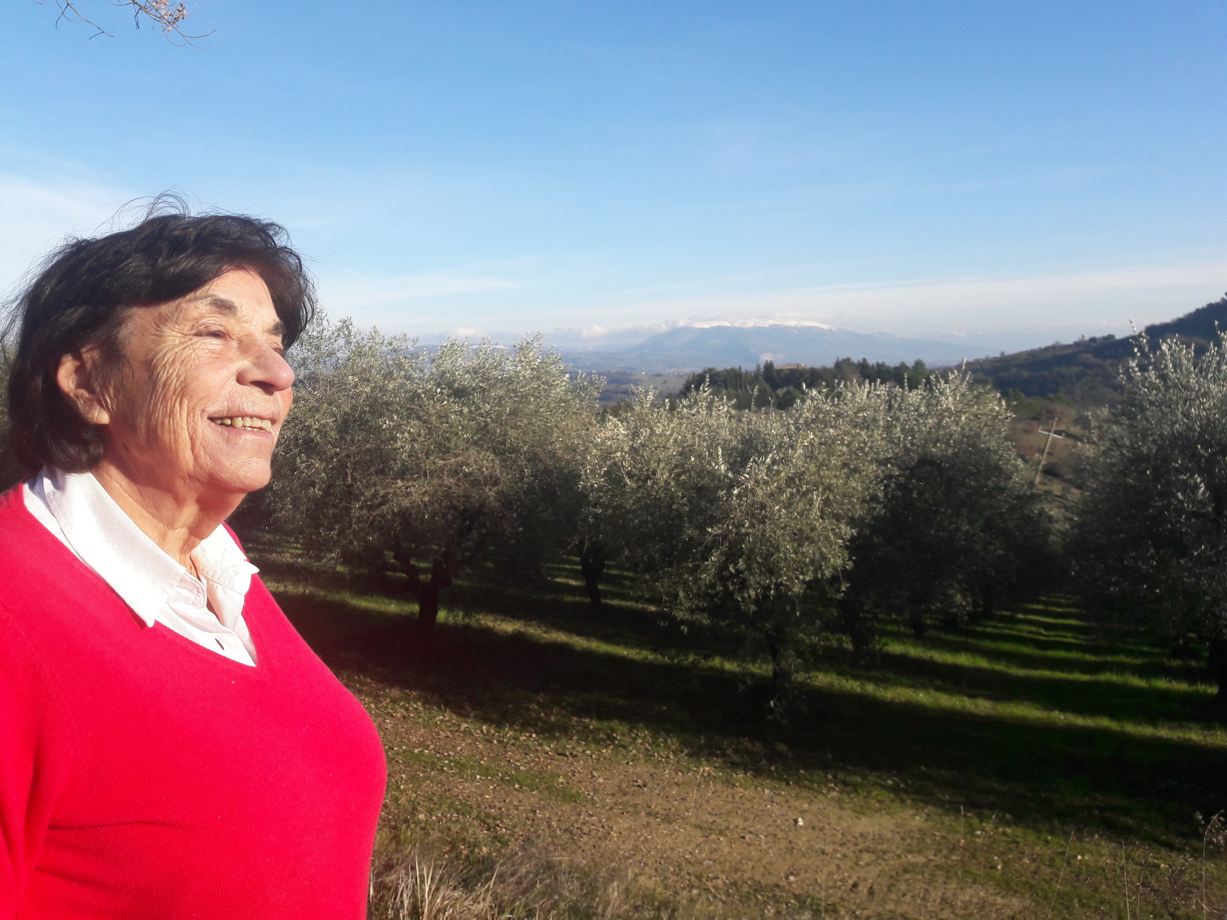 Anna Cianca's umbriske olivenolie er skabt fra hjertet