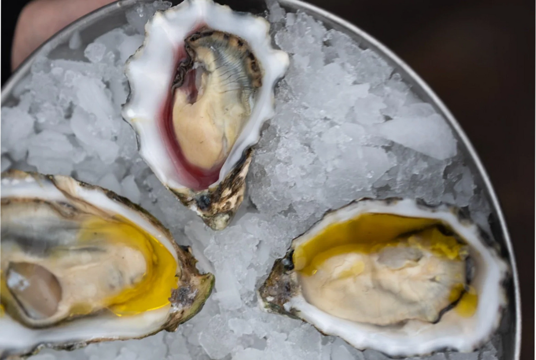 Østers pairing guide: de bedste olivenolier og eddiker til dine østers