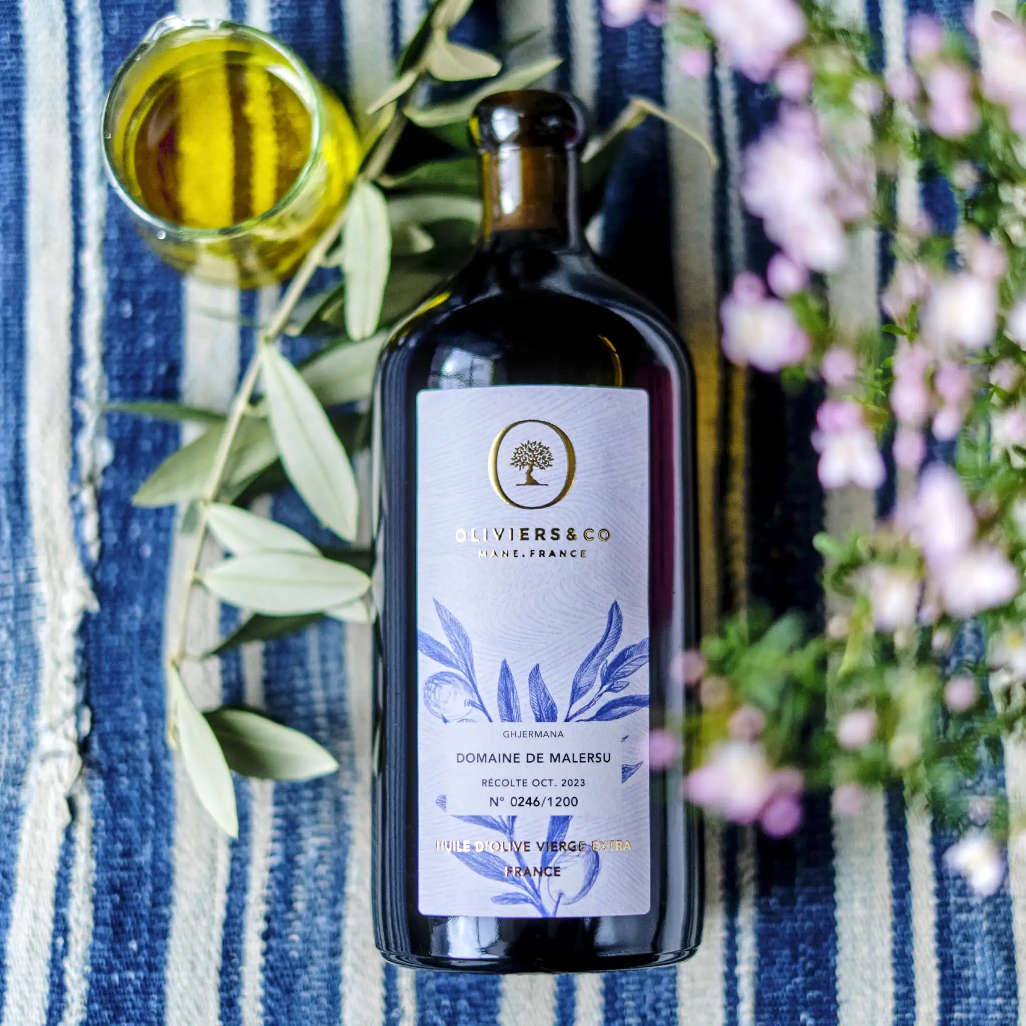 Olivenolie fra Korsika presset af Ghjermana oliven, limited edition fra Oliviers & Co