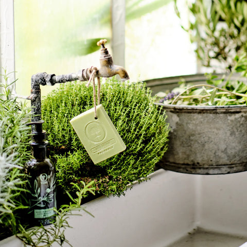 Fransk sæbe på snor med olivenolie og verbena, Oliviers & Co