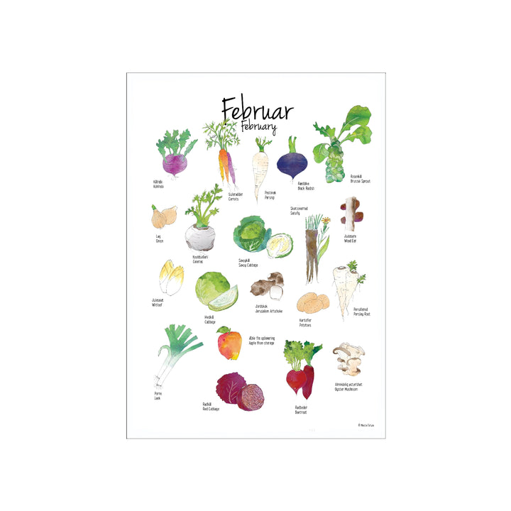Sæsonkalender med årstidens grøntsager, frugter, urter, svampe, februar i Danmark, Mette Forum, Oliviers & Co