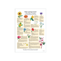 Havens spiselige blomster, Sæsonkalender tegnet af Mette Forum, årstidens frugter, grøntsager og urter, evighedskalender, Oliviers & Co