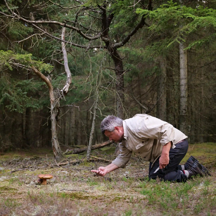 Thomas Laursen, sanker, iværksætter og forfatter til den store vilde svampekogebog, Oliviers & Co