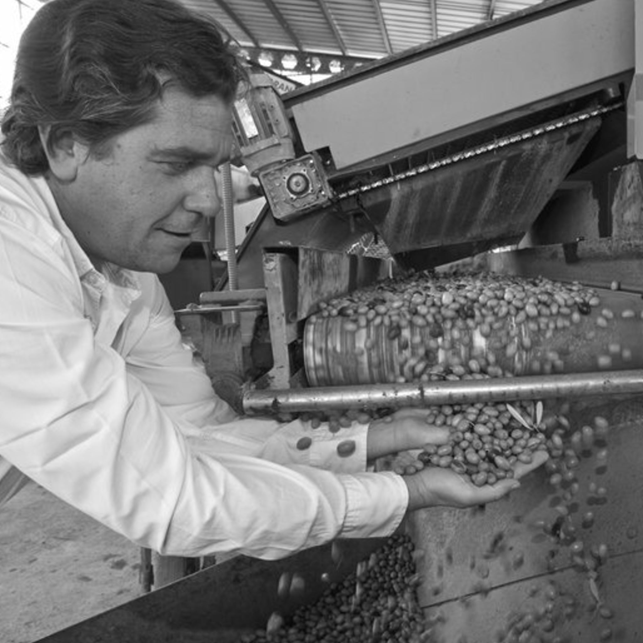 Luis Montabes, olivenolieproducent, Monva ekstra jomfru olivenolie