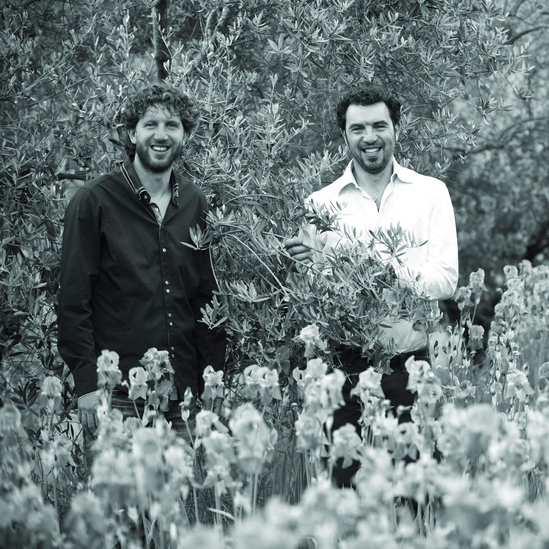 Giovanni og Paolo Pruneti, olivenolieproducenter, Oliviers & Co