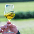 Ekstra jomfru olivenolie i glas, privat olivenoliesmagning hos Oliviers & Co
