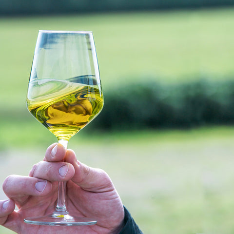 Ekstra jomfru olivenolie i glas, privat olivenoliesmagning hos Oliviers & Co